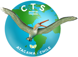 logo_CTS-300