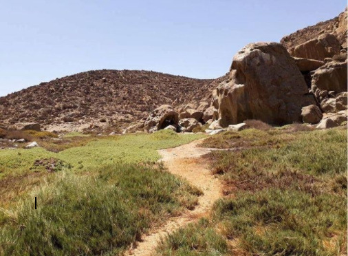 ¿Conoces la quebrada del León y su historia?