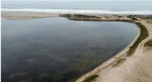 ¿Conoces el humedal de la desembocadura del  Río Copiapó y su historia?