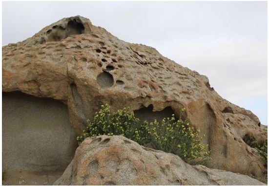 ¿Conoces el zoológico de piedras y su historia?