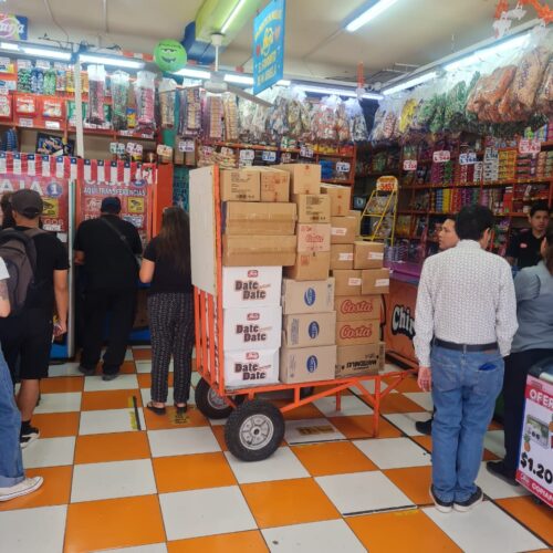 WhatsApp Image 2025-11-15 at 08.35.42